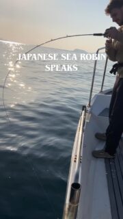 #searobin #fishingjapan #talkingfish