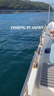 Guests from Thailand got MAGOCHI the Flathead and Tai the snapper. Glad you enjoyed😆 #fishingjapan #flathead #japaneseredsnapper