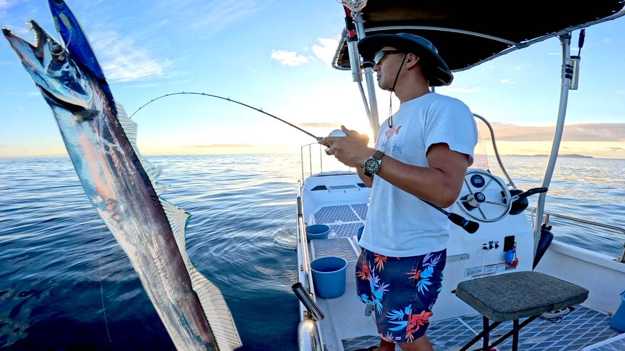 Belt Fish Jigging in Osaka Bay and Quick Dish