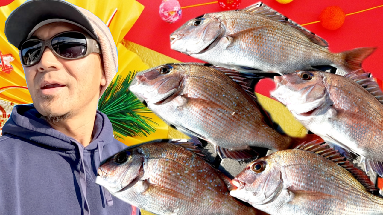 Catch and Cook Japanese Fortune Fish Madai, the Red Snapper On A New Year Day